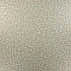 corteccia 09