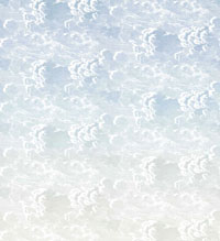 Englische Tapete Wolken Himmel blau Cole and Son Fornasetti Nuvole al Tramonto 114-3006 aus Berlin Deutschland online kaufen