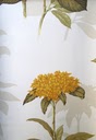 Design Tapete 48 Blumen exclusive Papiertapete